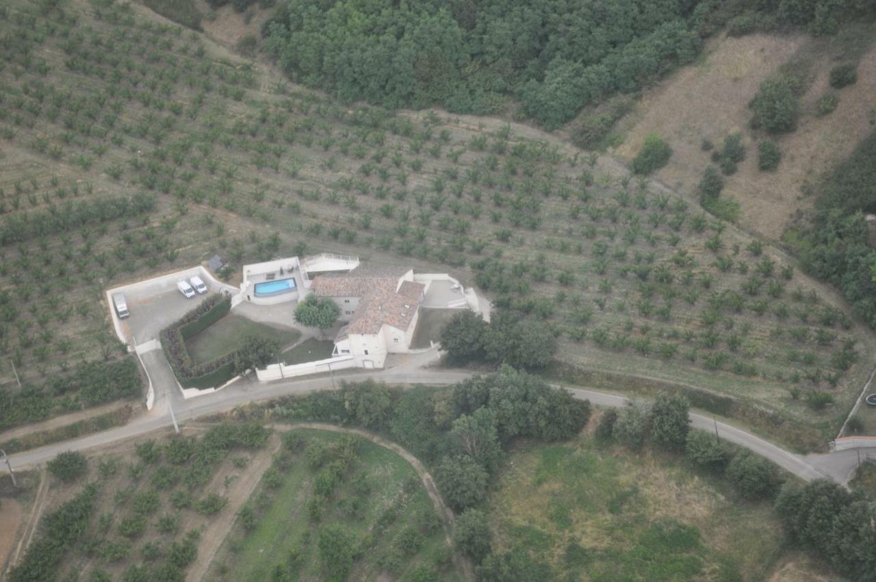 Casa Pura Vida Bed & Breakfast Albon Екстериор снимка
